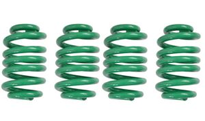 4 Stück Schraubenfedern für Westfalia Anhänger 1400 kg - Farbe: grün