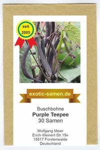 Buschbohne - Phaseolus vulgaris var. nanus - Kidney-Bohne - Purple Teepee - 30 Samen