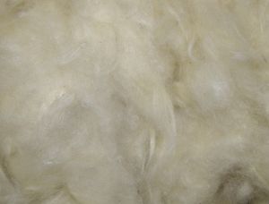 Nobby Kapokwolle 50 g, 81104