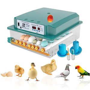 36 Eier Brutmaschine Vollautomatisch, Brutapparat Eier Inkubator mit LED Light Feuchtigkeits Temperaturanzeige Hatcher Maschine für Hühnergans Ente Taube Wachtel Vogel