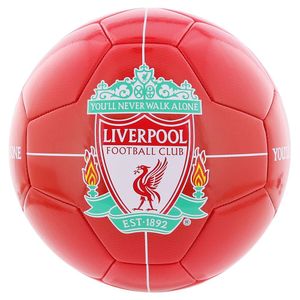 Liverpool FC Fußball shiny Gr.5