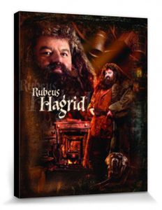 Harry Potter Poster Leinwandbild Auf Keilrahmen - Rubeus Hagrid, Gryffindor  (50 x 40 cm)