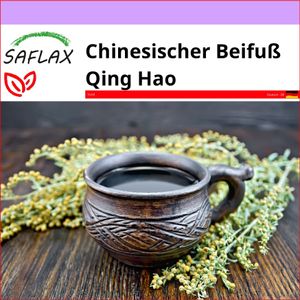 SAFLAX - Chinesischer Beifuß Qing Hao - Artemisia annua - 250 Samen