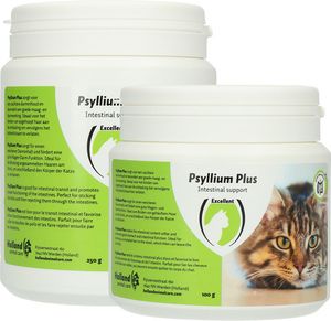 Psyllium plus kočka