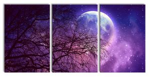 Winterbaum vor Vollmondnacht, XXL Leinwandbild in Übergröße 240x120cm Gesamtmaß 3 teilig / Wandbild / Kunstdruck