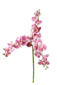Umelá orchidea ružová sada 3 umelých rastlín