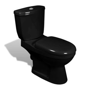 vidaXL Toaleta so splachovacou nádržkou čierna