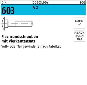 Flachrundschraube DIN 603 m.Vierkantansatz M 6 x 55 A 2