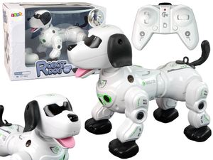 Interaktiver ferngesteuerter Roboterhund