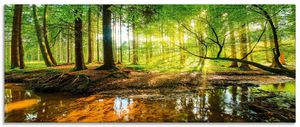ARTland Glasbild Wald mit Bach Größe: 125x50 cm