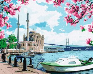 IDEYKA Malen nach Zahlen Helles Istanbul 40x50 Landschaft mit Holzrahmen