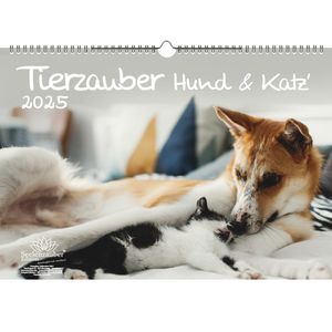 Tierzauber Hund und Katz DIN A3 Kalender für 2025 Freundschaften Hund Katze - Seelenzauber