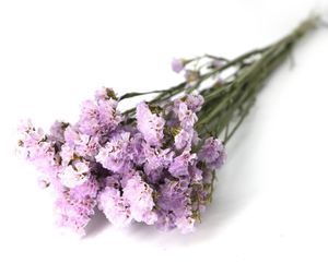 Großer Blumenstrauß mit Statice in drei Farben - Lila