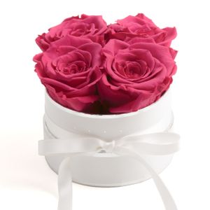 Ewige Rosen günstig online kaufen Kaufland.de