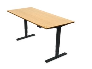 Ergotopia elektrisch höhenverstellbarer Schreibtisch / Ergonomischer Steh-Sitz Tisch mit Memory-Funktion (Bambus Echtholz, 160x80cm, Gestell Schwarz)