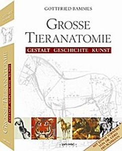 Große Tieranatomie