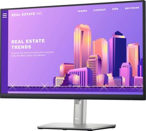 Dell P2422H - Monitor LED - 60,47 cm (23,8") - 1920 x 1080 Full HD (1080p) @ 60 Hz - IPS - 250 cd/m²