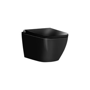 BERNSTEIN Dusch-WC Basic 1104 in Schwarz glänzend - mit Gesäß- und Ladydusche