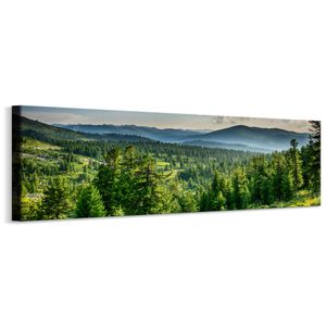Panoramabild Canvas WALD Bäume See Himmel Berge Natur Landschaft 3D Br. 145 cm x Hö. 45 cm