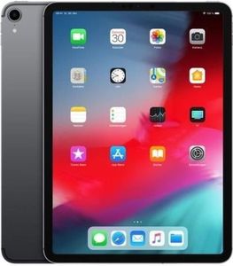 Apple iPad Pro 11" Wifi 64 GB Space Grey Akzeptabel