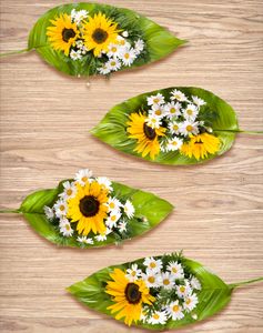 PVC Tischdecke Platina Wachstuch - Breite & Länge wählbar - abwaschbare Tischdecke - Holz Holztisch Sonnenblume Kamille Gänseblümchen Blatt, Größe:90 x 90 cm