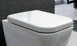 BERNSTEIN WC-Sitz aus Duroplast mit Soft-Close für Wand-Hänge-WC CH101 und 101R – Weiß, Bruchsicher