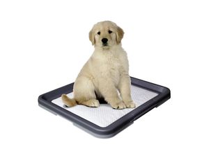 Nobby Doggy Trainer Pads 24 Stück