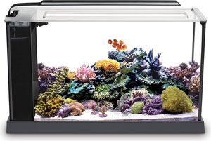 AQUARIEN Fluval Evo morské akvárium, čierne, 19 l