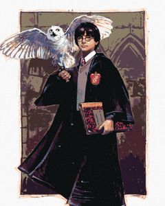 Zuty - Malen nach Zahlen - HARRY POTTER UND HEDWIG IN HOGWARTS, 40x50 cm, ohne Keilrahmen Zuty - Malen nach Zahlen - HARRY POTTER UND HEDWIG IN HOGWARTS, 40x50 cm, ohne Keilrahmen
