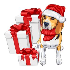 Fensterbild Weihnachten - Hund mit Geschenken