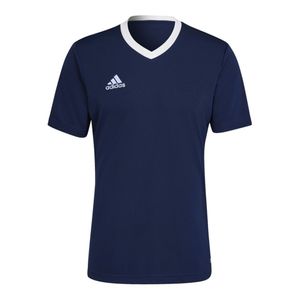 adidas Entrada 22 Trikot Herren tenabl L