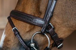 Dyon Geflochtene Trense mit schwedischem Reithalfter