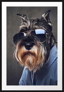 Lustiger Hund mit Hemd und SonnenbrilleBilderrahmen mit Galerie-Passepartout / Format: 100x70cm / gerahmt / hochwertige Leinwandbild Alternative