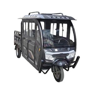 Eborn Cargo Cat 4-F (45 km/h) -  Grau