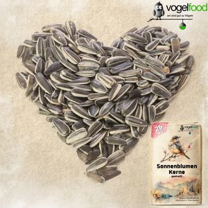 25kg Vogelfood Sonnenblumenkerne gestreift Ernte 2024 Vogelfutter