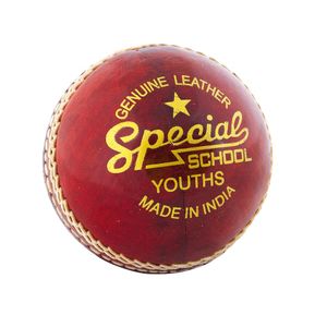 cricketball Special Schooljunior 21 cm Leder rot