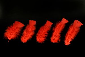 Bastel Federn für Kostüme und Deko - 100 Stück - Rot