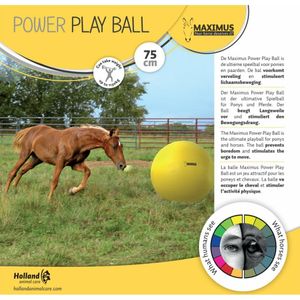 Míč Maximus Power Play 75cm