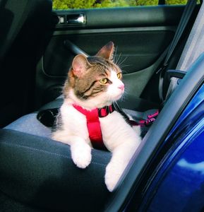 Bezpečnostní pás Trixie pro kočky
