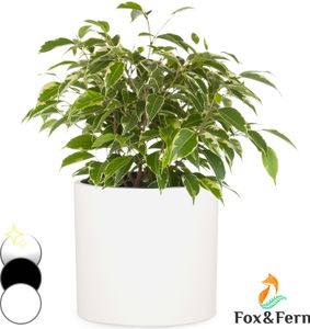 Fox & Fern Blumentopf, Übertopf Groß, UV- und Frostbeständige Blumentöpfe, Blumentopf für Innen und Außen, Übertöpfe für Zimmerpflanzen, Übertopf mit Stopfen, Faserstein Pflanzentopf, Einzeltopf