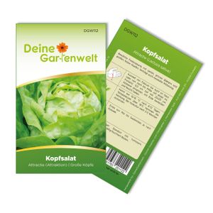 Kopfsalat Attractie Attraktion Samen - Lactuca sativa - Kopfsalatsamen - Gemüsesamen - Saatgut für 300 Pflanzen
