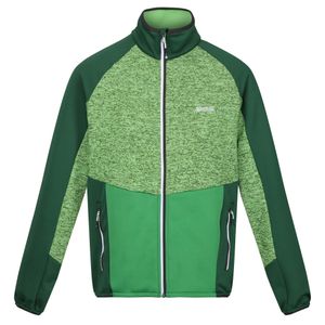 Regatta - "Coladane V" Fleecejacke Durchgehender Reißverschluss für Herren RG8815 (L) (Jasmin-Grün/Feldgrün)