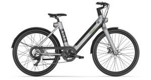 SachsenRAD E-Bike xBird Urban City-Bike C6F Connect 26 Zoll Grau