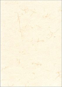 RNK Elefantenhautpapier neutral A5 190g ws 100 St