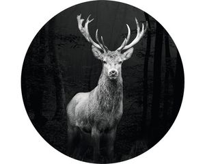 Glasbild rund Grey Deer Head Ø 50 cm GLR025 Glasbild rund Grey Deer Head Ø 50 cm GLR025