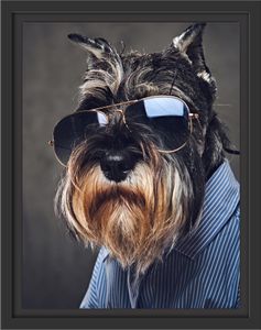 Lustiger Hund mit Hemd und Sonnenbrille im Schattenfugen Bilderrahmen / Format: 38x30 im Schattenfugen-Bilderrahmen / Kunstdruck auf hochwertigem Galeriekarton / hochwertige Leinwandbild Alternative