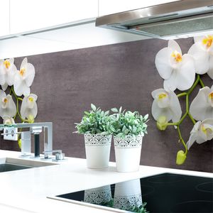 Küchenrückwand Orchideen Zweig Premium Hart-PVC 0,4 mm selbstklebend - Direkt auf die Fliesen, Größe:280 x 60 cm
