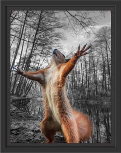 Lustiges Eichhörnchen steht im Wald B&W Detail im Schattenfugen Bilderrahmen / Format: 38x30 im Schattenfugen-Bilderrahmen / Kunstdruck auf hochwertigem Galeriekarton / hochwertige Leinwandbild Alternative