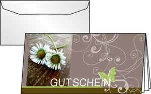 SIGEL DC402 Gutschein-Karten (inkl. transparente Umschläge), Favourite, DIN lang (2/3 A4), 10 Karten