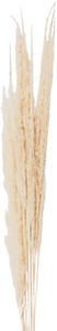 Clayre & Eef 5DF0021 Suszone kwiaty 90 cm (10) Biały